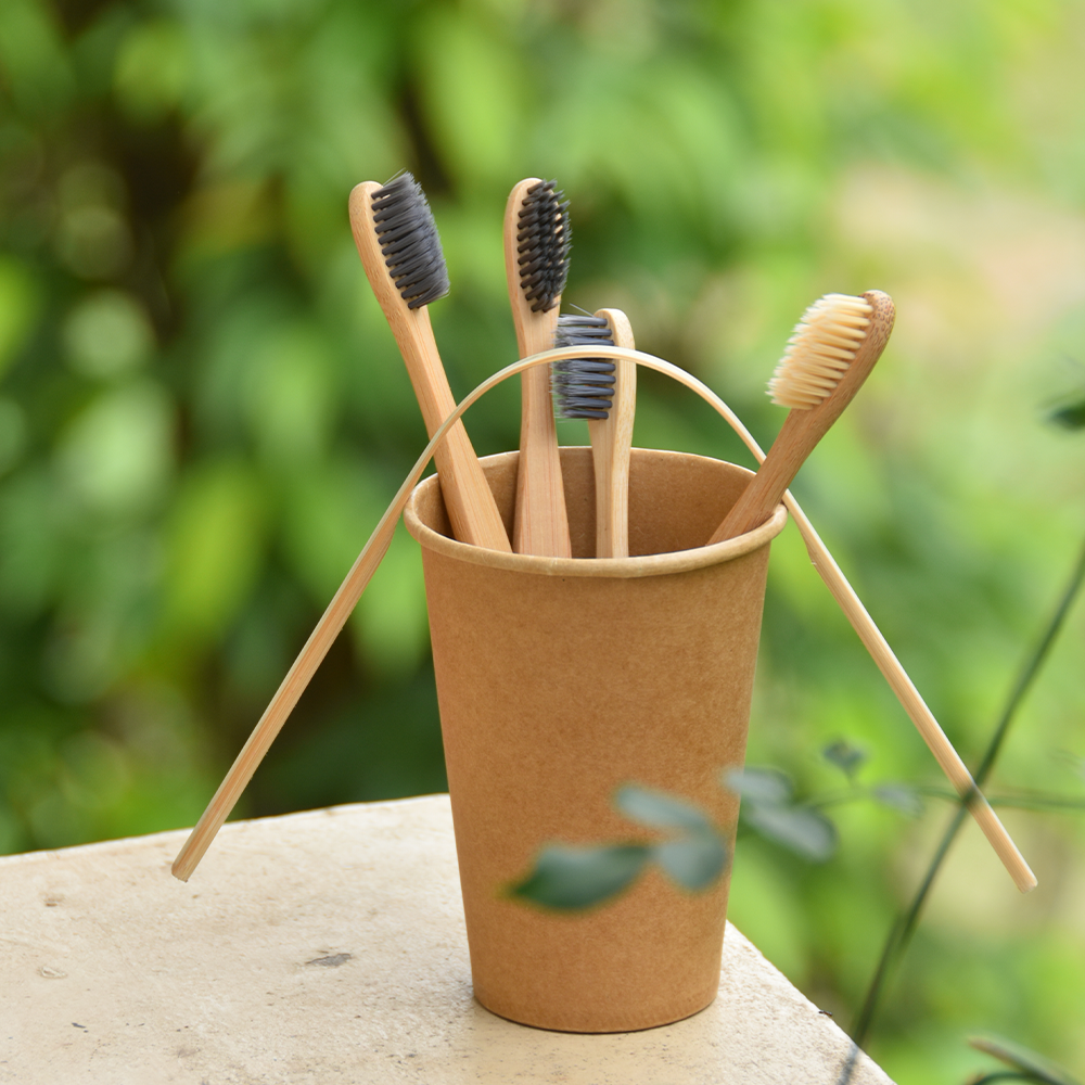 Is Sustainable Living Worth It? Why It’s Easier Than You Think
