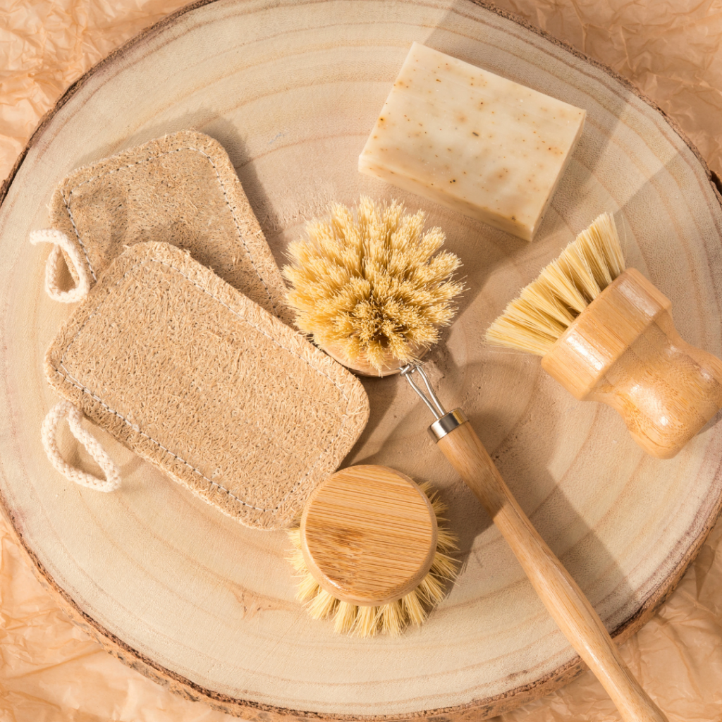 Set of Bamboo Brushes for Eco Friendly Lifestyle