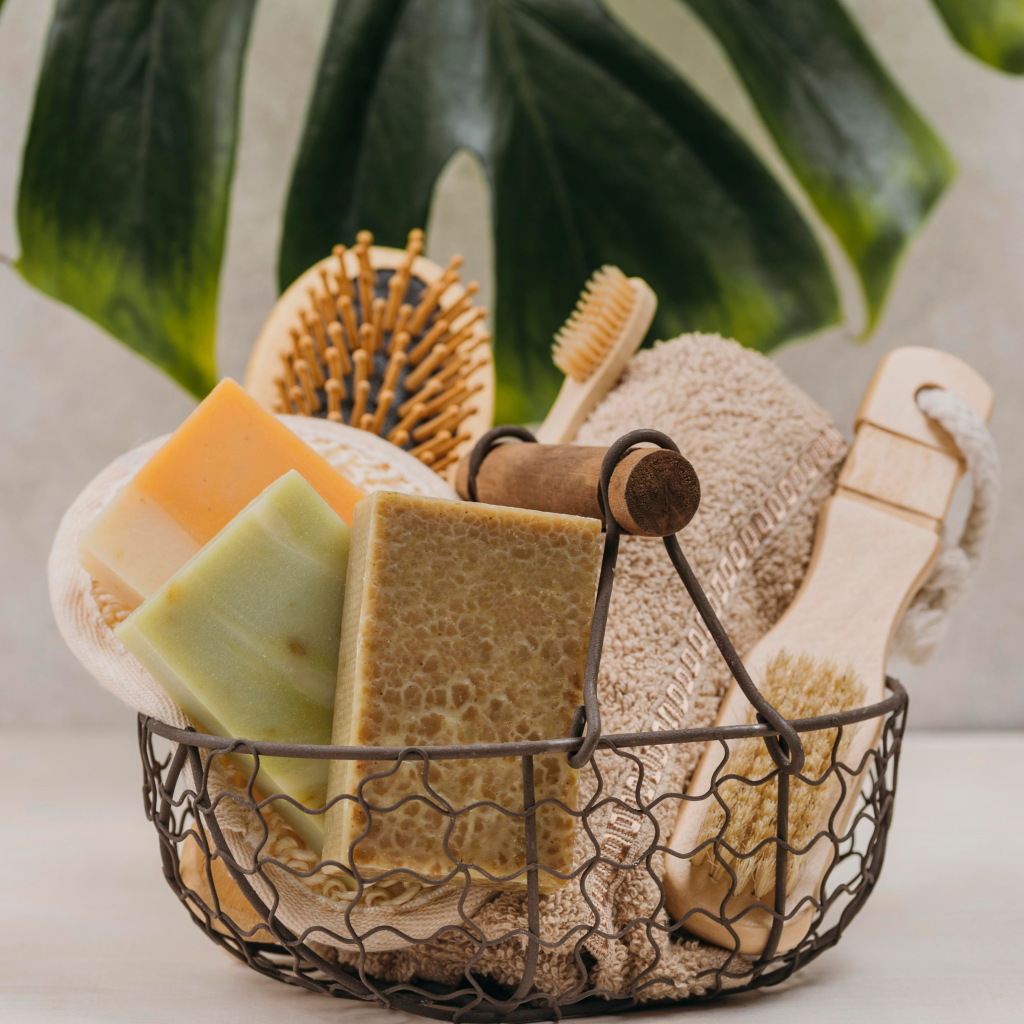 Eco-Friendly Living in Canada: 5 Tips for a Greener Great White North