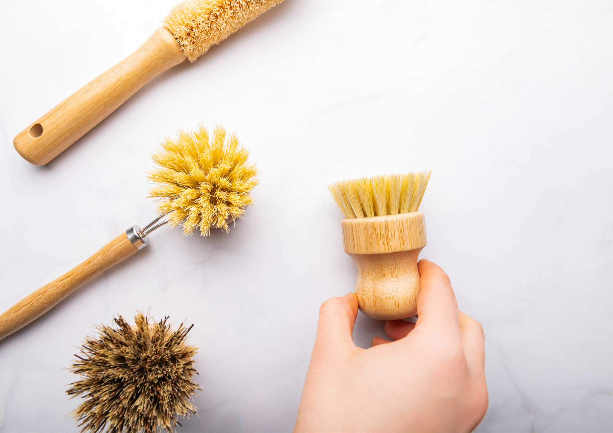 Gift Collection by Eco Haven